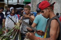 Martes 18 de diciembre del 2018. Zinacantan. Los tuberculos de la flor de Niluyarilo es recoelctada por jóvenes provenientes de la comunidad de Chiapa de Corzo en las comunidades de Los altos de Chiapas recorriendo varios kilómetros a pie. La planta que