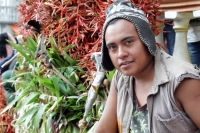 Martes 18 de diciembre del 2018. Zinacantan. Los tuberculos de la flor de Niluyarilo es recoelctada por jóvenes provenientes de la comunidad de Chiapa de Corzo en las comunidades de Los altos de Chiapas recorriendo varios kilómetros a pie. La planta que