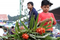 Martes 18 de diciembre del 2018. Zinacantan. Los tuberculos de la flor de Niluyarilo es recoelctada por jóvenes provenientes de la comunidad de Chiapa de Corzo en las comunidades de Los altos de Chiapas recorriendo varios kilómetros a pie. La planta que
