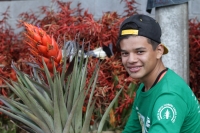 Martes 18 de diciembre del 2018. Zinacantan. Los tuberculos de la flor de Niluyarilo es recoelctada por jóvenes provenientes de la comunidad de Chiapa de Corzo en las comunidades de Los altos de Chiapas recorriendo varios kilómetros a pie. La planta que Martes 18 de diciembre del 2018. Zinacantan. Los tuberculos de la flor de Niluyarilo es recoelctada por jóvenes provenientes de la comunidad de Chiapa de Corzo en las comunidades de Los altos de Chiapas recorriendo varios kilómetros a pie. La planta que