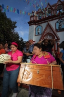 Miércoles 14 de diciembre. Flor de Niluyarilo.