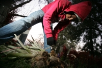 Viernes 17 de diciembre. Durante el tercer dÃa del recorrido de la Topada de la Flor, los jóvenes floreros acomodan los bultos para emprender el camino de regreso a Chiapa de Corzo y de las comunidades que hacen la recolecta en los altos de Chiapas. Los g Viernes 17 de diciembre. Durante el tercer dÃa del recorrido de la Topada de la Flor, los jóvenes floreros acomodan los bultos para emprender el camino de regreso a Chiapa de Corzo y de las comunidades que hacen la recolecta en los altos de Chiapas. Los g