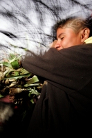 Viernes 17 de diciembre. Durante el tercer día del recorrido de la Topada de la Flor, los jóvenes floreros acomodan los bultos para emprender el camino de regreso a Chiapa de Corzo y de las comunidades que hacen la recolecta en los altos de Chiapas. Los g