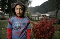 Viernes 17 de diciembre. Durante el tercer dÃa del recorrido de la Topada de la Flor, los jóvenes floreros acomodan los bultos para emprender el camino de regreso a Chiapa de Corzo y de las comunidades que hacen la recolecta en los altos de Chiapas. Los g Viernes 17 de diciembre. Durante el tercer dÃa del recorrido de la Topada de la Flor, los jóvenes floreros acomodan los bultos para emprender el camino de regreso a Chiapa de Corzo y de las comunidades que hacen la recolecta en los altos de Chiapas. Los g