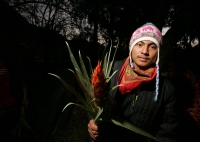 Viernes 17 de diciembre. Durante el tercer día del recorrido de la Topada de la Flor, los jóvenes floreros acomodan los bultos para emprender el camino de regreso a Chiapa de Corzo y de las comunidades que hacen la recolecta en los altos de Chiapas. Los g