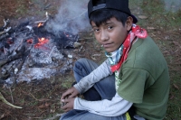 Miércoles 16 de diciembre del 2015. San Cristóbal de las Casas. Jóvenes originarios de las comunidades del municipio de Chiapa de Corzo recorren durante varios días las montañas de la región de Los Altos del estado de Chiapas recolectando las bromelias qu