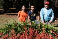 Miércoles 16 de diciembre del 2015. San Cristóbal de las Casas. Jóvenes originarios de las comunidades del municipio de Chiapa de Corzo recorren durante varios días las montañas de la región de Los Altos del estado de Chiapas recolectando las bromelias qu