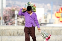 Lunes 13 de febrero del 2017. Tuxtla Gutiérrez. Jóvenes indígenas recorren las avenidas de la capital del estado de Chiapas ofreciendo flores a los enamorados en la víspera del día de San Valentín.