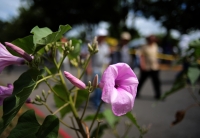 20231106. Tuxtla Aspecto de la marcha del sindicato del Cobach hacia la Secretaria de Educación de Chiapas.