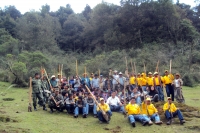 Lunes 12 de septiembre. CONCLUYE LA CAMPAÑA ANUAL DE REFORESTACIÓN EN EL PINAR