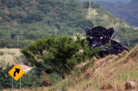 Miércoles 15 de noviembre del 2017. Chiapa de Corzo. Una cartel de propaganda asecha en la autopista Tuxtla-San Cristóbal.