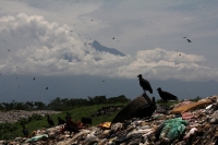 Julio del 2014. Tapachula, Chiapas. Niños, centroamericanos e indigentes pepenadores en el basurero municipal de esta ciudad de la frontera sur de México.
