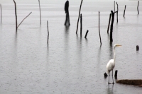 Martes 3 de junio del 2014. Arriaga, Chiapas. Familias de las pescaderías de la costa chiapaneca, esperan que las lluvias se incrementen en las próximas horas, esto a pesar de que las autoridades de Protección Civil continúan alertando sobre el riesgo de 