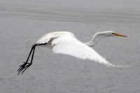 Martes 3 de junio del 2014. Arriaga, Chiapas. Familias de las pescaderías de la costa chiapaneca, esperan que las lluvias se incrementen en las próximas horas, esto a pesar de que las autoridades de Protección Civil continúan alertando sobre el riesgo de 