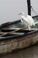 Martes 3 de junio del 2014. Arriaga, Chiapas. Familias de las pescaderías de la costa chiapaneca, esperan que las lluvias se incrementen en las próximas horas, esto a pesar de que las autoridades de Protección Civil continúan alertando sobre el riesgo de 
