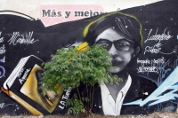 Miércoles 13 de octubre. Los artistas visuales han encontrado en la ciudad de Tuxtla Gutiérrez un lugar donde pueden realizar diferentes manifestaciones de arte callejero, siendo el graffiti una de las practicas utilizadas e incluso contratadas por las au