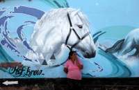 Lunes 13 de noviembre del 2017. Tuxtla Gutiérrez. El graffiti chiapaneco mantiene años de experiencia y creatividad en el arte callejero en la ciudad.