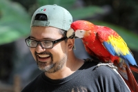 Miércoles 19 de febrero del 2014. Tuxtla Gutiérrez. La Guacamaya Roja (Ara Macao) es cuidada y acondicionada para volver a su entorno natural en la selva lacandona en las instalaciones del ZOOMAT. Miércoles 19 de febrero del 2014. Tuxtla Gutiérrez. La Guacamaya Roja (Ara Macao) es cuidada y acondicionada para volver a su entorno natural en la selva lacandona en las instalaciones del ZOOMAT.