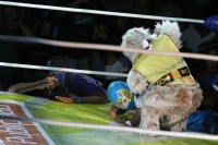 Sábado 6 de octubre del 2013. Tuxtla Gutiérrez. Esta noche se lleva a cabo la función de lucha libre profesional Guerra de Leyendas 2.