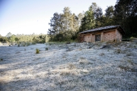 Sábado 25 de diciembre. San Juan Chamula. Los parajes y comunidades de los altos de Chiapas amanecen vestidos de blanco debido a la escarcha de hielo que el frio provoca en las madrugadas afectando a pobladores y cultivos, mientras que provoca el asombro 