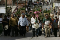 Especial / 15 fotos / Los Hojeros de Suchiapa recorren varios municipios de la depresión central de Chiapas para recolectar las Hojas de Espadaña, la cual es utilizada de forma ceremonial en los días previos a la Santa Cruz.  Los Hojeros acompañan el reco