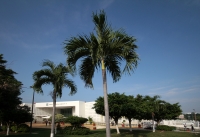 Lunes 3 de agosto del 2020. Tuxtla Gutiérrez. Aspectos de los Hospitales Pediátrico y del IMSS
