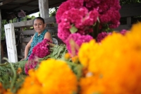 20232028. Chiapa de Corzo. Doña Imelda se gana la vida vendiendo flores de temporada a orillas de la carretera hacia la Presa La Angostura.
