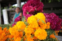 20232028. Chiapa de Corzo. Doña Imelda se gana la vida vendiendo flores de temporada a orillas de la carretera hacia la Presa La Angostura.