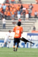 Sábado 30 de abril. Jaguares de Chiapas 4-1 Gallos Blancos.