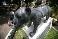 Martes 31 de agosto. La ciudad de Tuxtla continua vistiéndose con los colores patrios al empezar a acercarse las fechas conmemorativas de septiembre.