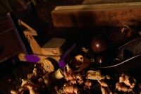 Sábado 2 de enero del 2016. La juguetería mexicana y en especial la chiapaneca presentan rasgos de imitación de la vida cotidiana lo que la diferencia de los artículos artesanales que son ofrecidos a los turistas como objetos decorativos por lo que la ela