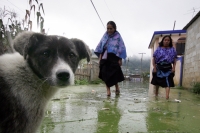 Jueves30 de septiembre. Habitantes de la comunidad Navenchauc del municipio Zinacantán en Los Altos del estado de Chiapas, continúan sufriendo la inundación que cubre parte de este poblado de la etnia tsotsil.