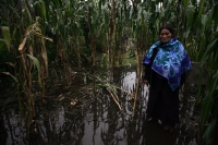 Jueves30 de septiembre. Habitantes de la comunidad Navenchauc del municipio Zinacantán en Los Altos del estado de Chiapas, continúan sufriendo la inundación que cubre parte de este poblado de la etnia tsotsil.