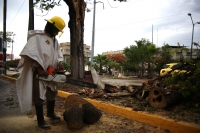 20210524. Tuxtla G. Árboles y cableado caídos durante las lluvias de este día