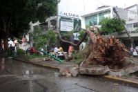 Miércoles 22 de julio del 2020. Tuxtla Gutiérrez. Durante la fuerte lluvia de esta tarde, las calles de la ciudad sufren encharcamientos y hay varios árboles colapsados