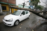 Las primeras lluvias en la ciudad de Tuxtla Gutiérrez dejan varios árboles caÃdos algunas calles con encharcamientos en el oriente de la capital de Chiapas sin que se reporten daños de consideración. Las primeras lluvias en la ciudad de Tuxtla Gutiérrez dejan varios árboles caÃdos algunas calles con encharcamientos en el oriente de la capital de Chiapas sin que se reporten daños de consideración.