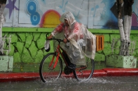 Las primeras lluvias en la ciudad de Tuxtla Gutiérrez dejan varios árboles caídos algunas calles con encharcamientos en el oriente de la capital de Chiapas sin que se reporten daños de consideración.