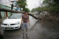 Las primeras lluvias en la ciudad de Tuxtla Gutiérrez dejan varios árboles caídos algunas calles con encharcamientos en el oriente de la capital de Chiapas sin que se reporten daños de consideración.