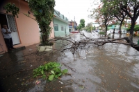 Las primeras lluvias en la ciudad de Tuxtla Gutiérrez dejan varios árboles caídos algunas calles con encharcamientos en el oriente de la capital de Chiapas sin que se reporten daños de consideración.