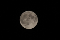 Sábado 5 de mayo. La luna en su punto más cercano.