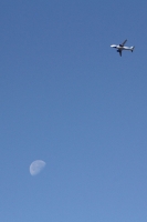Viernes 25 de marzo. Aspecto de la Luna en esta mañana.