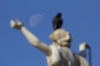 Viernes 25 de marzo. Aspecto de la Luna en esta mañana.