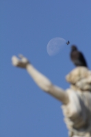 Viernes 25 de marzo. Aspecto de la Luna en esta mañana.