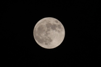 Sábado 5 de mayo. La luna en su punto más cercano.