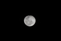 20210101. Tuxtla G. La última luna del año y la primera del 2021 nos obsequia su tez iluminando la madrugada