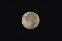 La luna de diciembre.