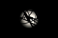 Viernes 3 de noviembre del 2017. Tuxtla Gutiérrez. La primera luna de noviembre nos ofrece su vista desde la perspectiva urbana de la ciudad.