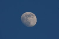 La luna del 19 de octubre