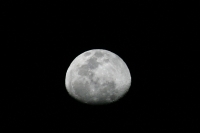 Aspecto de la luna en este 14 de febrero. Aspecto de la luna en este 14 de febrero.