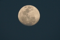 La luna en esta tarde...